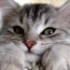 reviewer's avatar