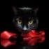 reviewer's avatar