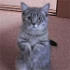 reviewer's avatar